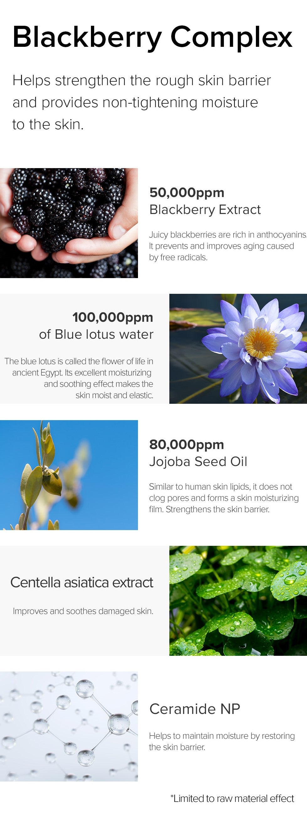 [메리앤메이] 비건 블랙베리 콤플렉스 크림 에센스 140ml