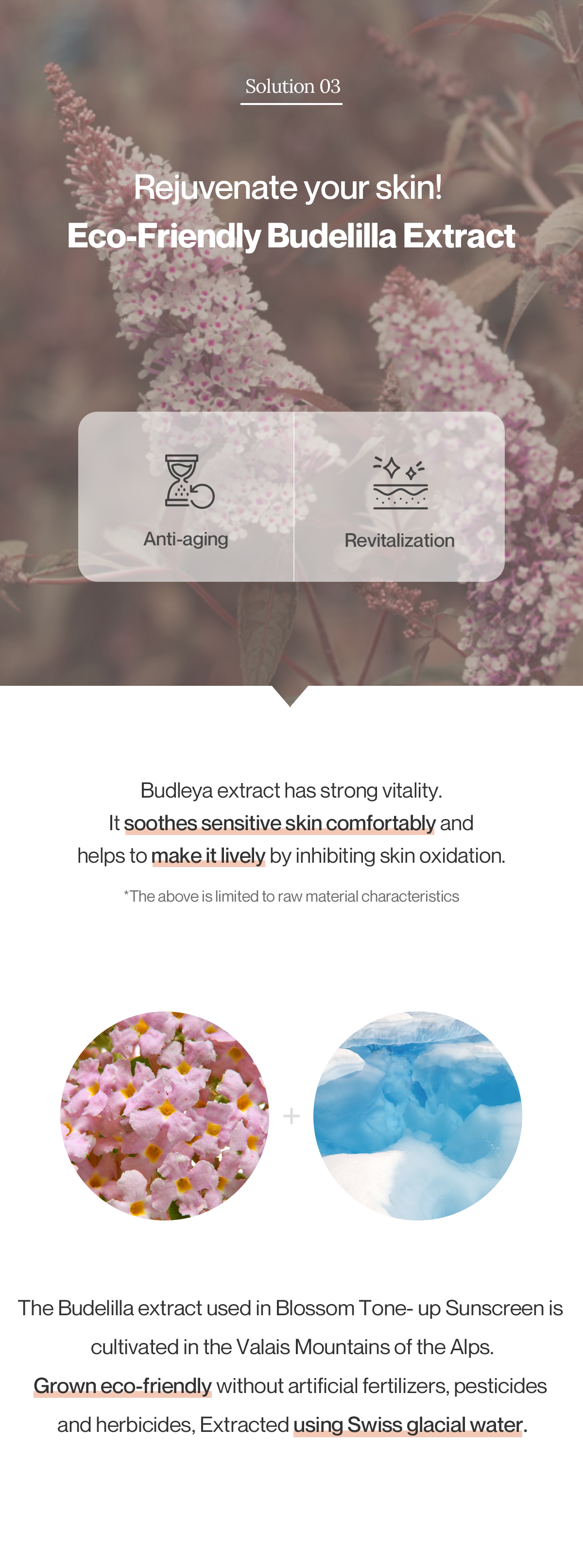 [Reblocell] Blossom Tone up Sunscreen SPF 50+ PA++++ 30ml