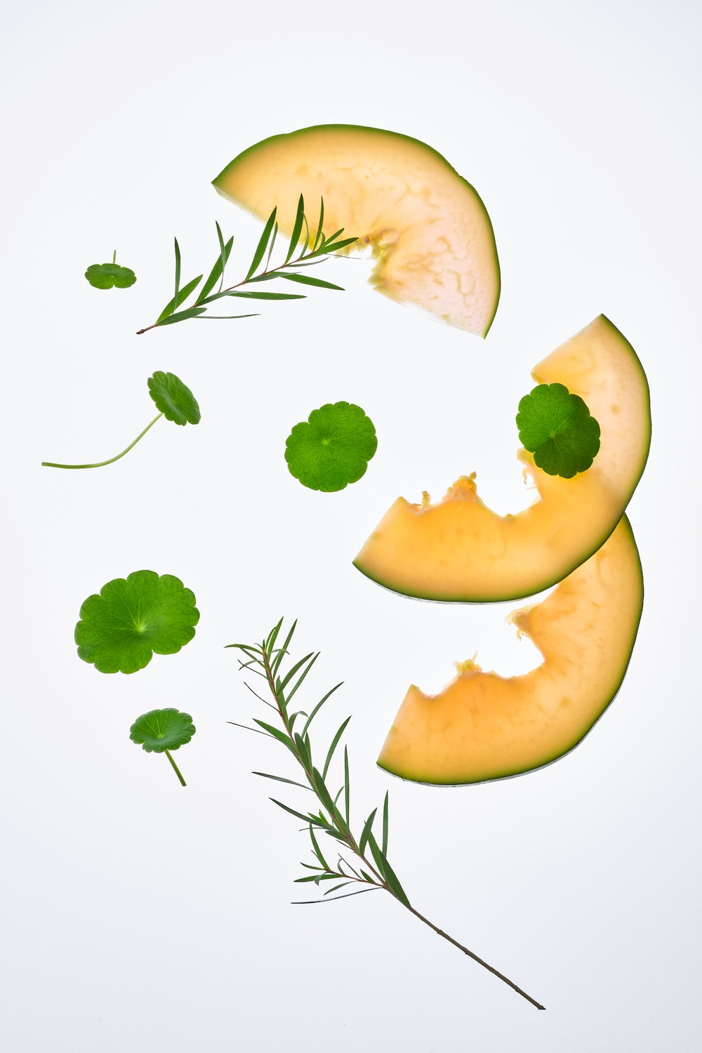 [Tocobo] Cica Calming Powder Wash 50g